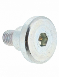 Repuesto original BOSCH 160343507R Tornillo de cabeza hexagonal