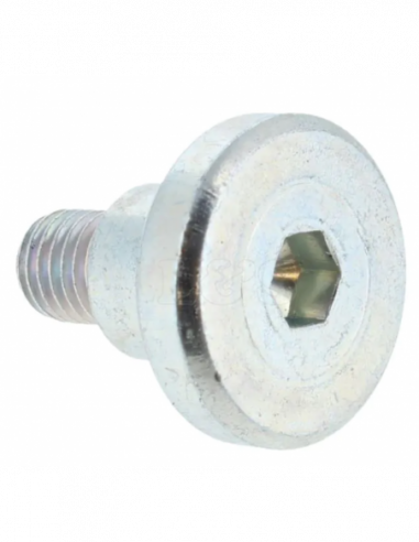 Repuesto original BOSCH 160343507R Tornillo de cabeza hexagonal