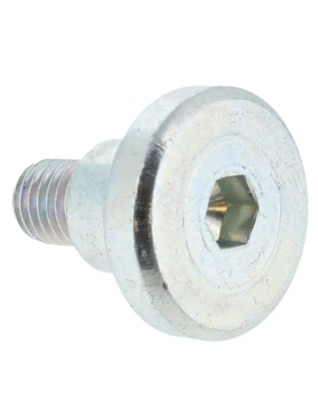Repuesto original BOSCH 160343507R Tornillo de cabeza hexagonal