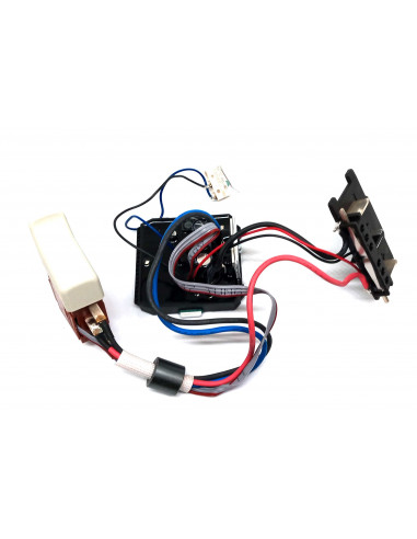 Módulo electrónico