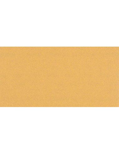 BOSCH EXPERT 2608900875 Papel de lija EXPERT C470 con 14 orificios para lijadoras orbitales 115 x 230 mm, G 100 10 unidades