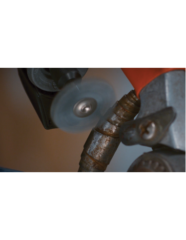 Cepillo abrasivo de alto rendimiento DREMEL® (Ø...