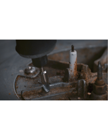 Cepillo de acero al carbono 3,2 DREMEL® (Ø 3,2 mm)