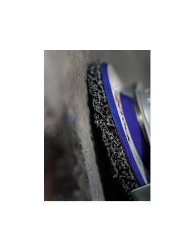 BOSCH 2608621832 Disco de limpieza PRO N377 con...