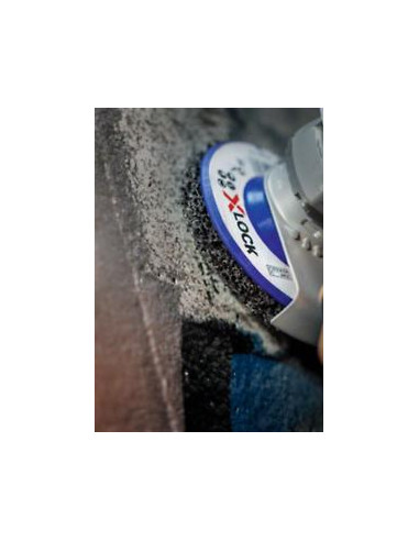 BOSCH 2608621832 Disco de limpieza PRO N377 con...