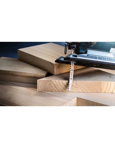 Hoja de sierra de calar EXPERT Wood 2-side...