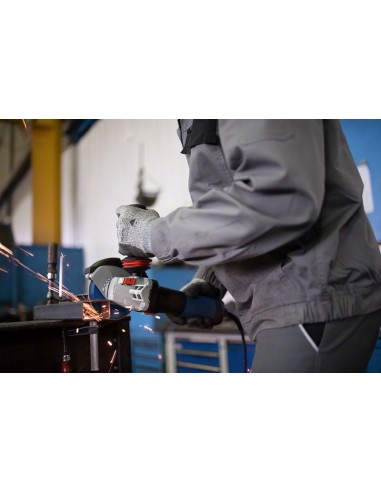 Amoladora GWS 17-125 SB Professional (En caja...