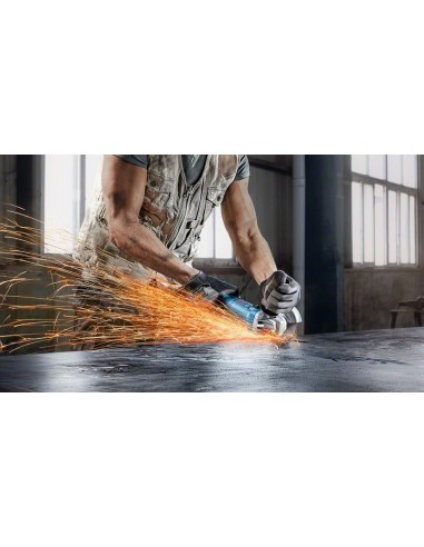 GWS 22-230 J + GWS 880 Professional (En caja de...