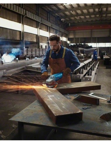 GWS 22-230 J + GWS 880 Professional (En caja de...