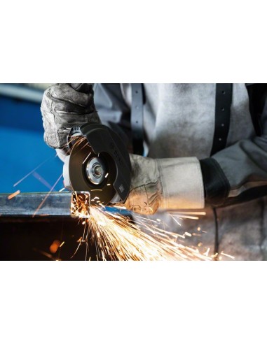 Amoladora GWS 12-125 Professional (En caja de...