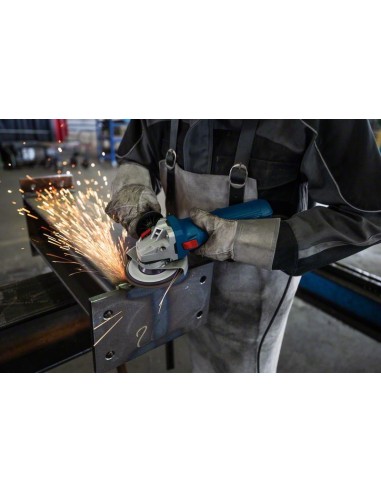 Amoladora GWS 12-125 Professional (En caja de...