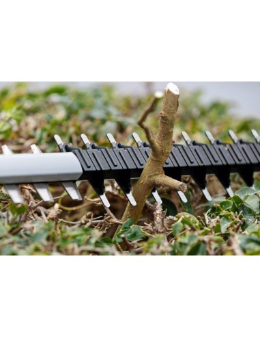 BOSCH 06008C9000 Tijeras cortasetos a batería...