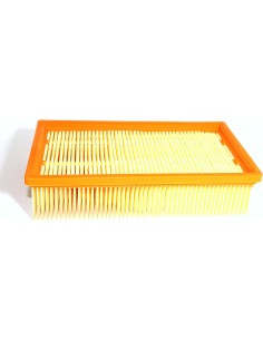 Filtro aspiradro BOSCH  GAS25L  /  GAS 25 L