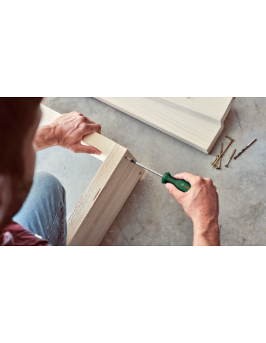 BOSCH 1600A02BX6 Set de cicno destornilladores...