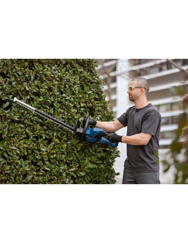 BOSCH 06008C9600 Tijeras cortasetos a batería...