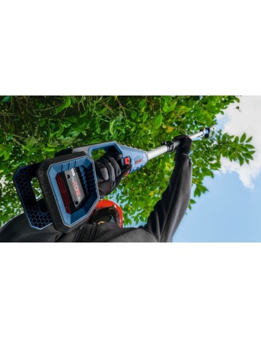 BOSCH 06008D5000 Tijeras cortasetos GHE 18V-50...