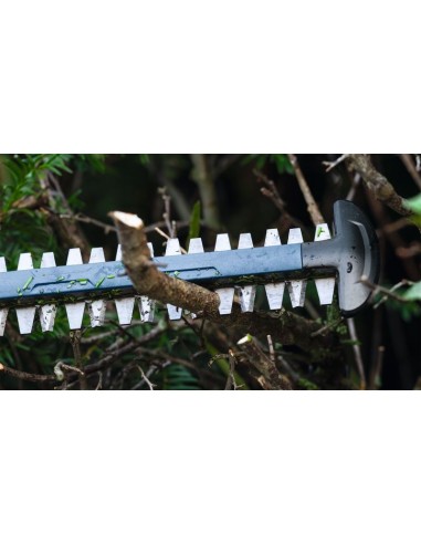 BOSCH 06008C9400 Tijeras cortasetos a batería...