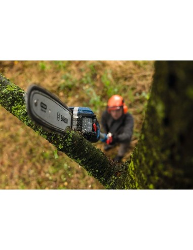 BOSCH 06008D6000 Podador telescópico a batería...