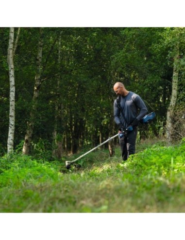 BOSCH 06008D0200 Cortabordes a batería GRT...