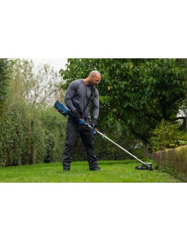 BOSCH 06008D0200 Cortabordes a batería GRT...