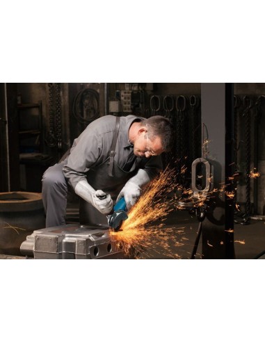 BOSCH 06013A6200 Amoladora GWS 12-125 P...