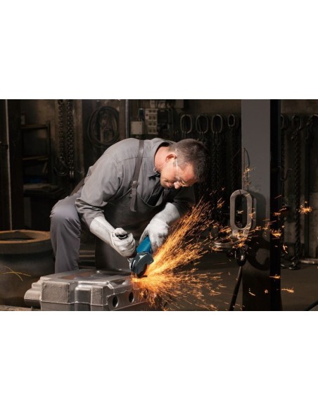 BOSCH 06013A6200 Amoladora GWS 12-125 P Professional